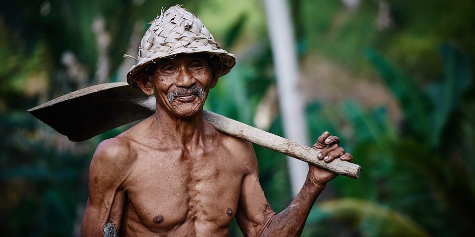 Reforma Trabalhista Sedola Coelho Advocacia